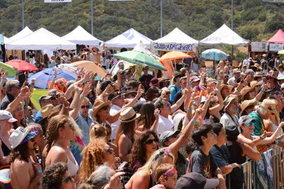 DSC_2032 (Large).JPG